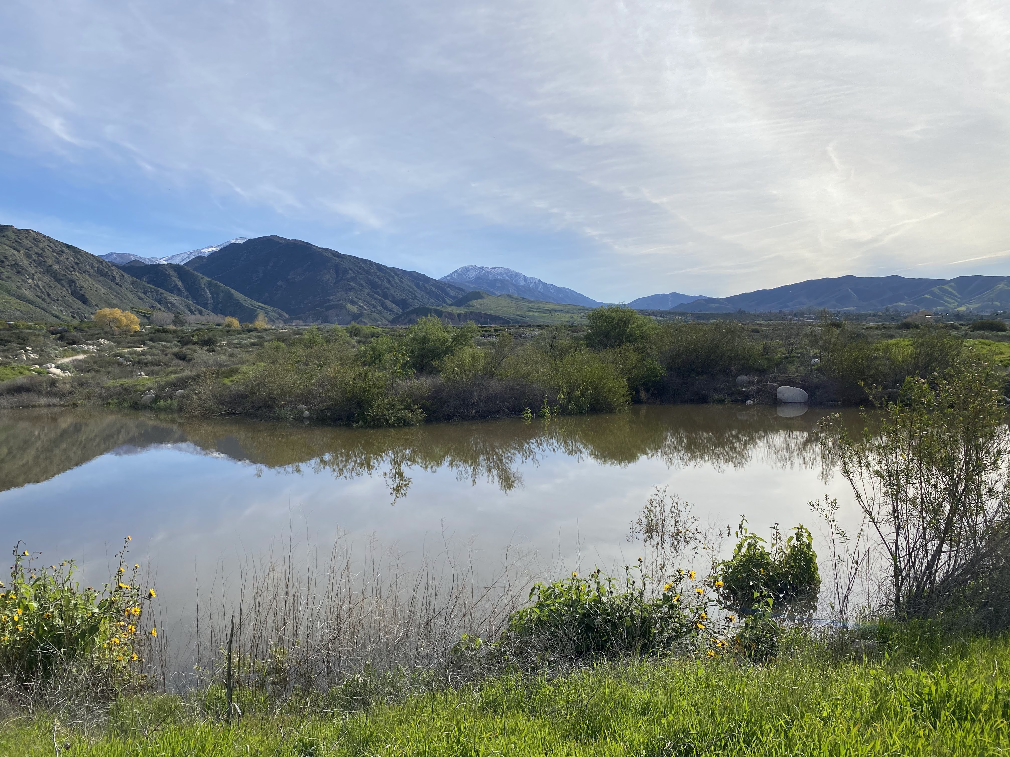 Wetland pond with mountain reflection — Southern California